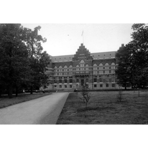 Den Krälande Fasan - Lördag 10-14